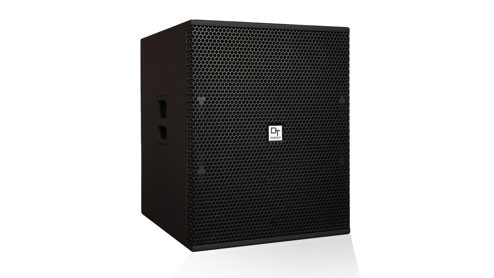 Loa Sub DT SIRIUS WA - Hình 3