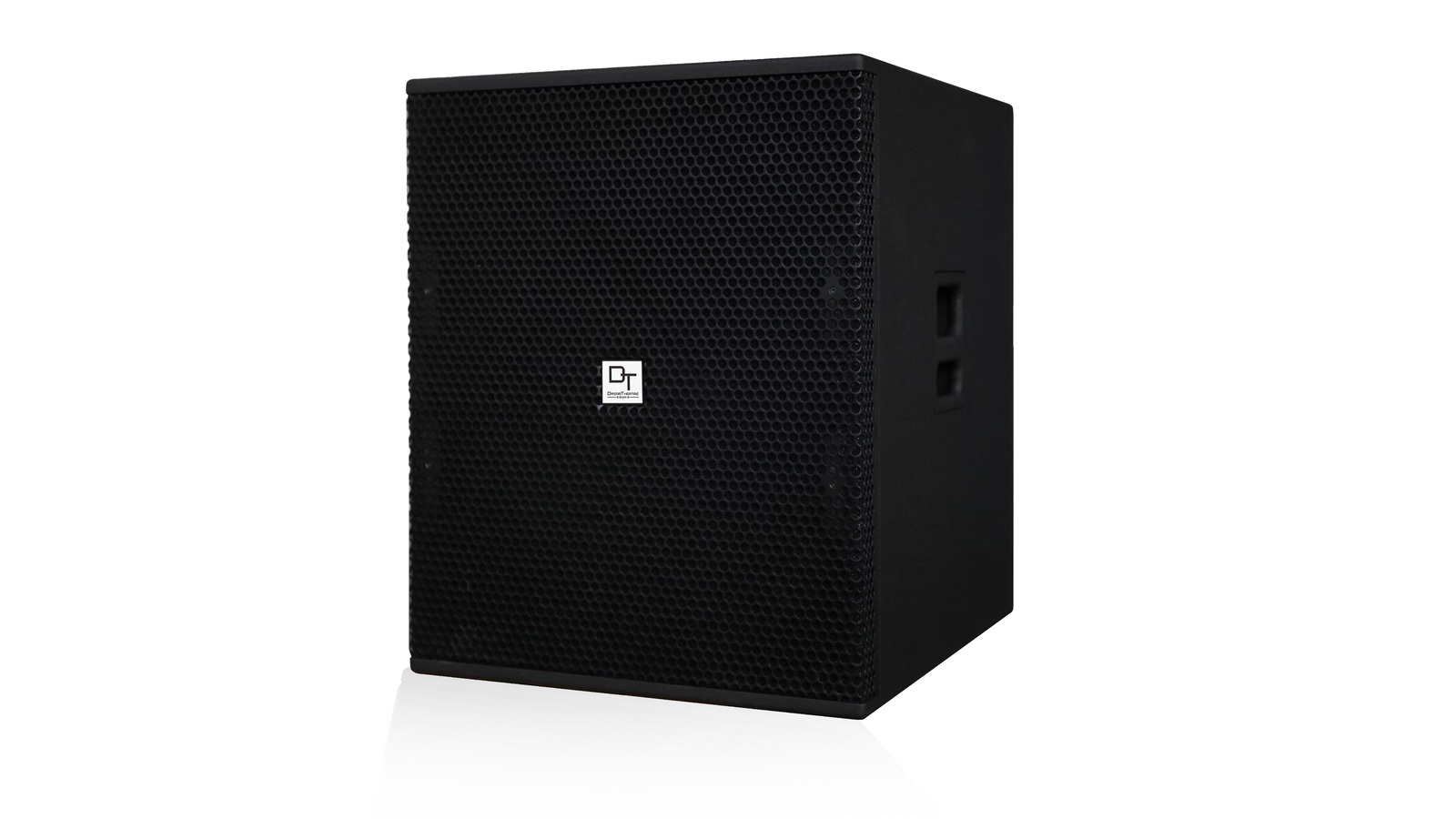 Loa Sub DT SIRIUS WA - Hình 2