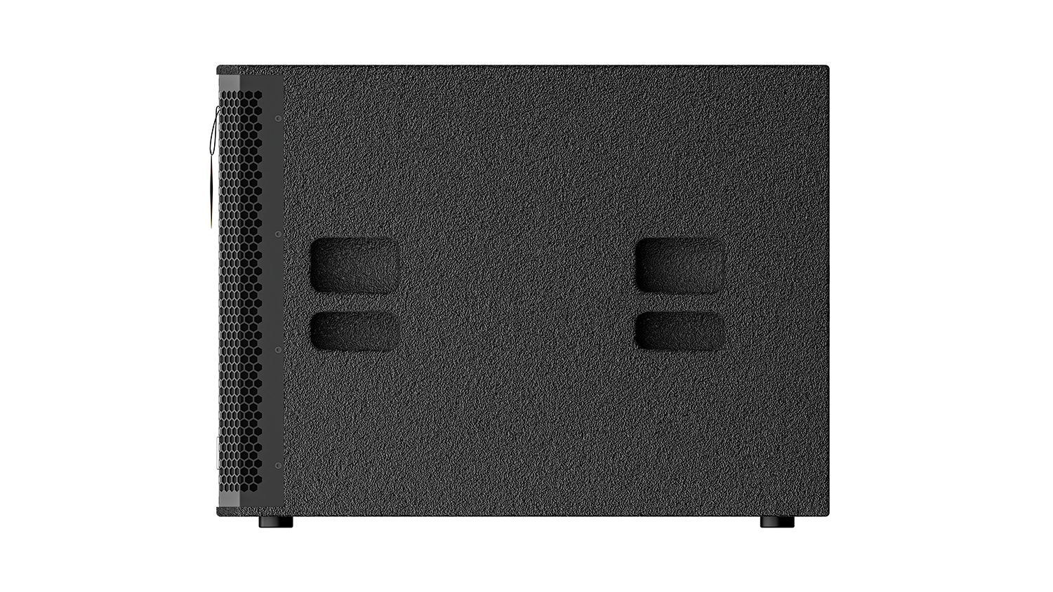 Loa Sub Kép DT Delta 218 - Hình 8