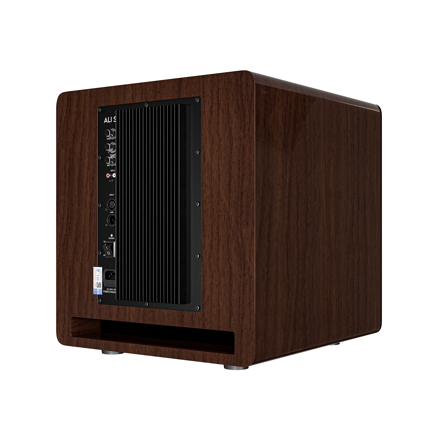 banner-ttp-sasion-ali-s15-13